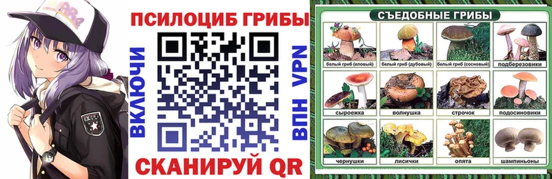 Купить  Беслан  Псилоцибиновые грибы Psilocybine cubensis 